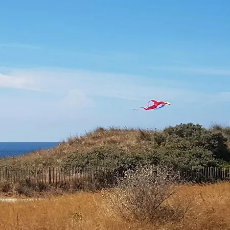Met Uniek Zeezicht Apartment Egmond aan Zee